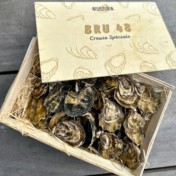 BRU 48 12 stuks nr 4