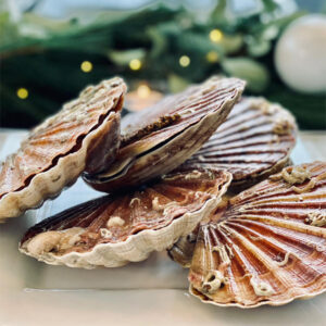 Coquilles hand gedoken