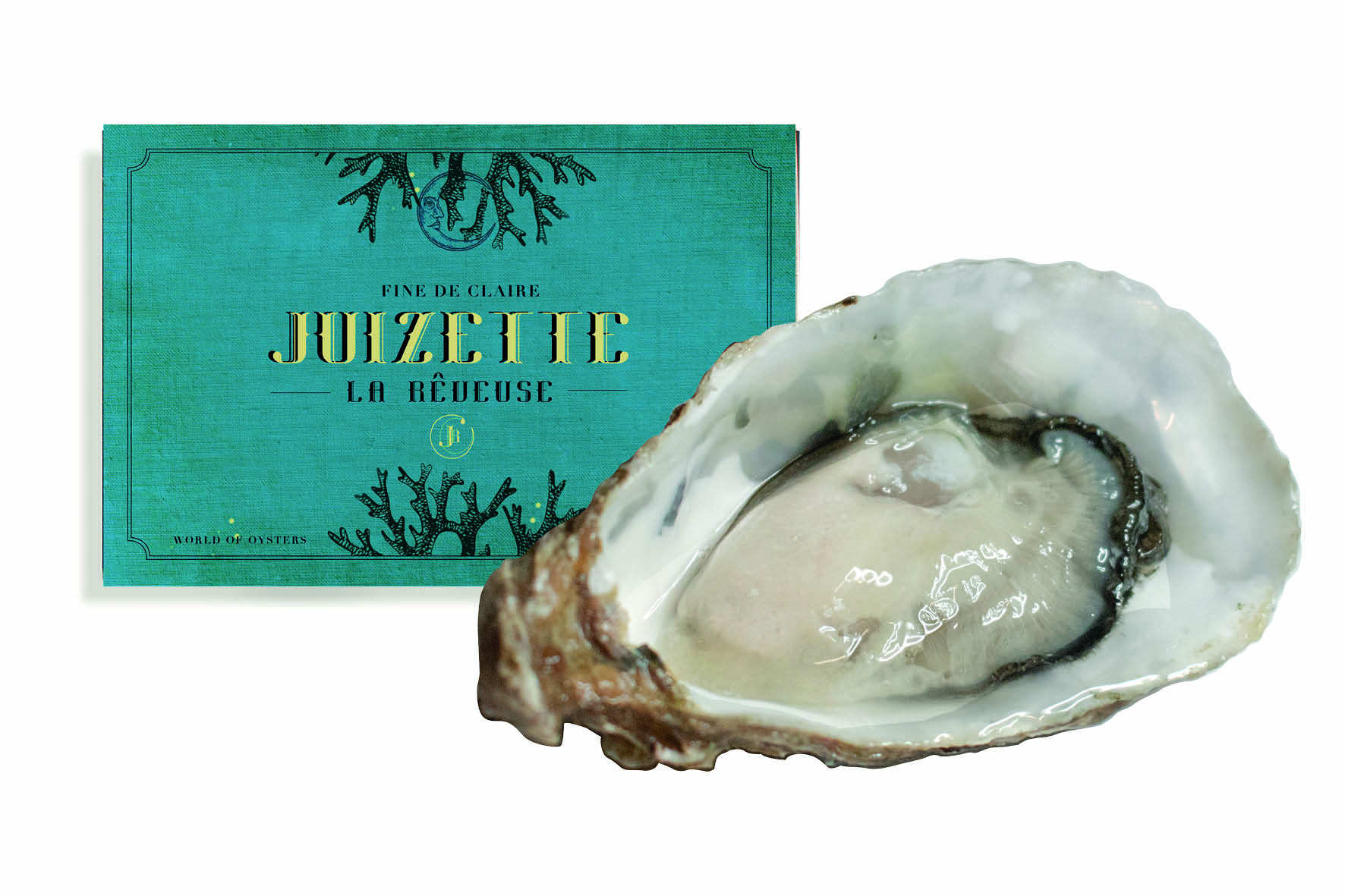 Fines de Juizette