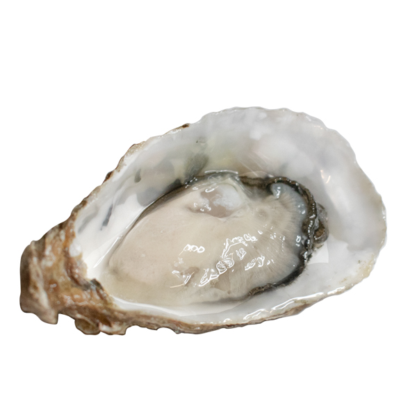 Fines de Juizette - Afbeelding 2