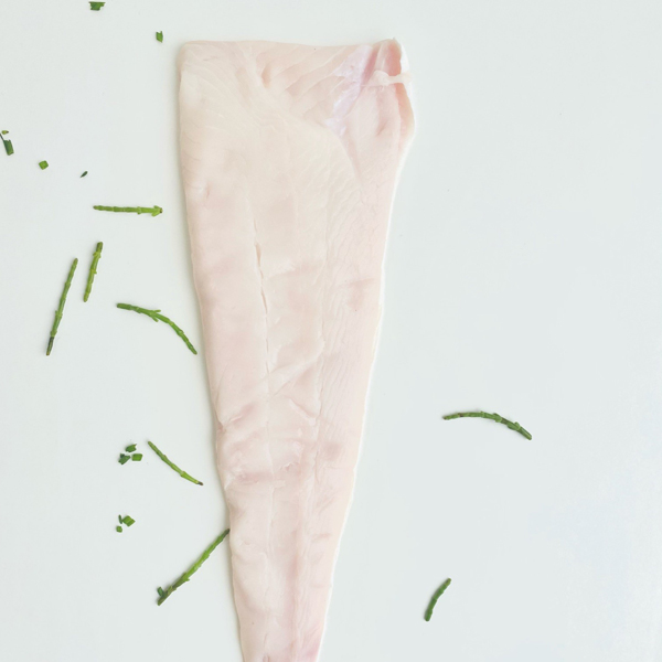 Heilbot ( wit ) filet 500 gram