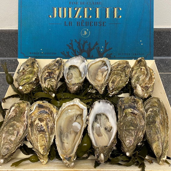 Fines de Juizette - Afbeelding 3