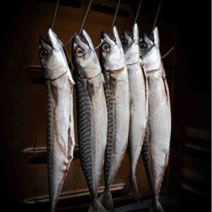 Makreel heel a300 gram