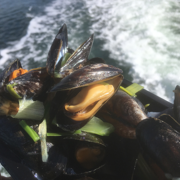 Zeeuwse Mosselen - Afbeelding 2