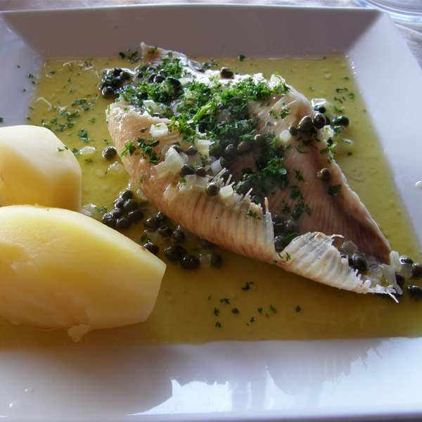 Heilbot ( wit ) filet 500 gram - Afbeelding 7