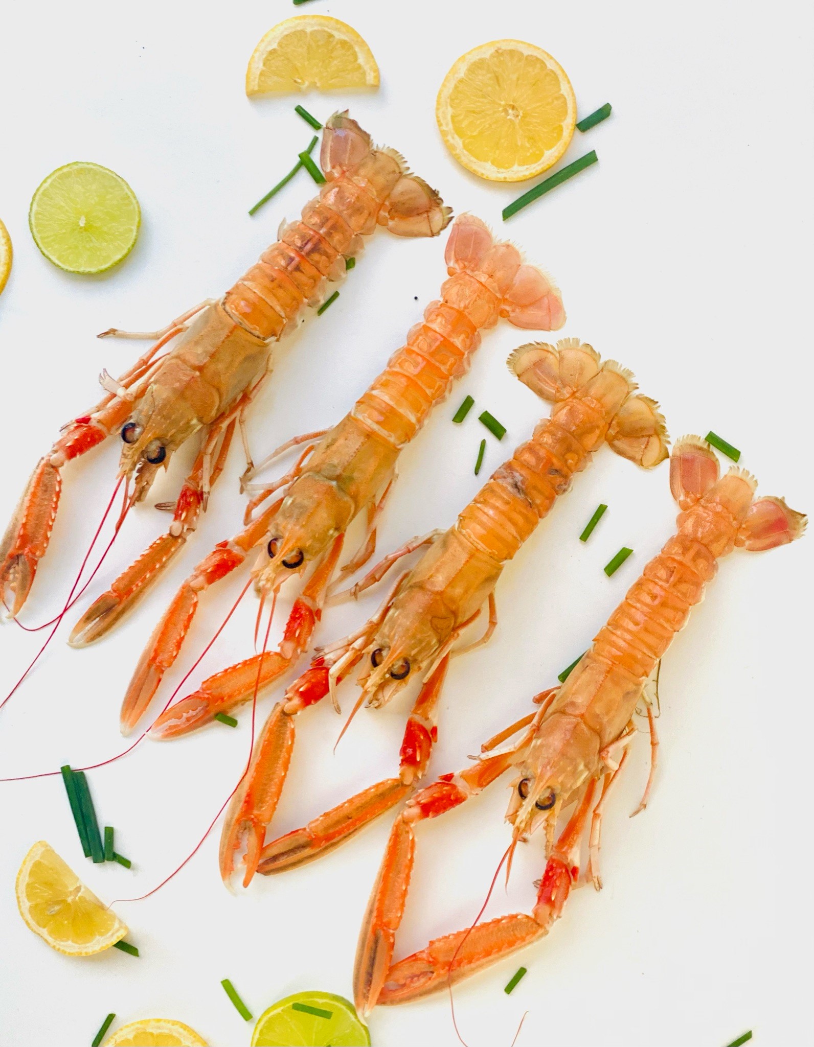 Langoustine
