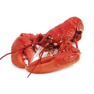 Gekookte kreeft uit Canada