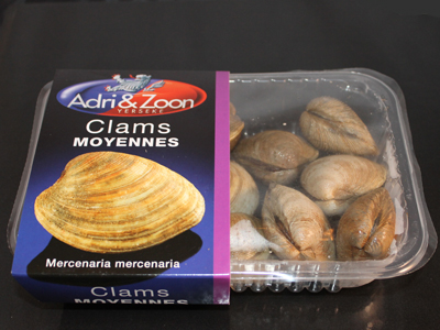 Clams 1kg netje - Afbeelding 2