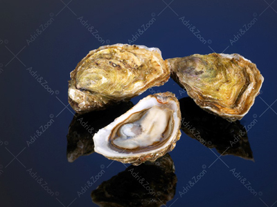 Fines de Claires Cap Horn 12 stuks no. 3 - Afbeelding 2