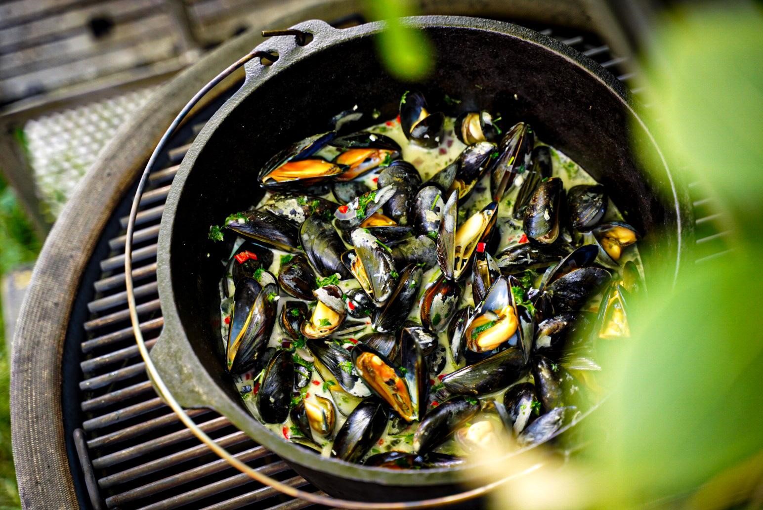 Verse Mosselen direct van de kweker 5kilo