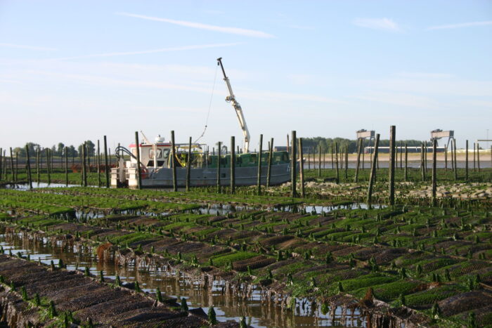 Tableau de Zelande De Oesterbaron