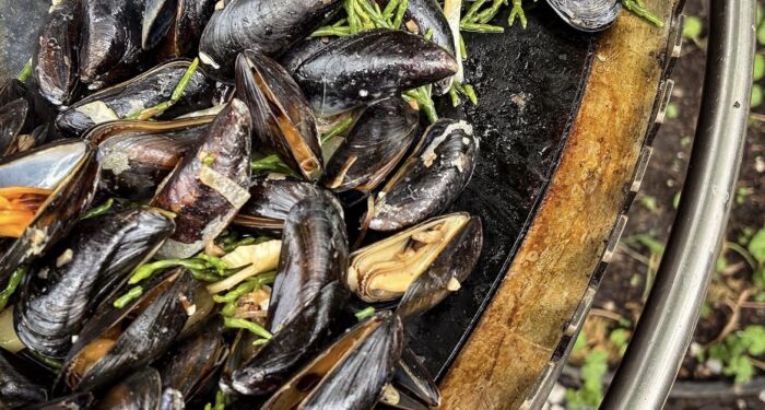 Plancha mosselen met blond bier, zeekraal & venkelcrunch